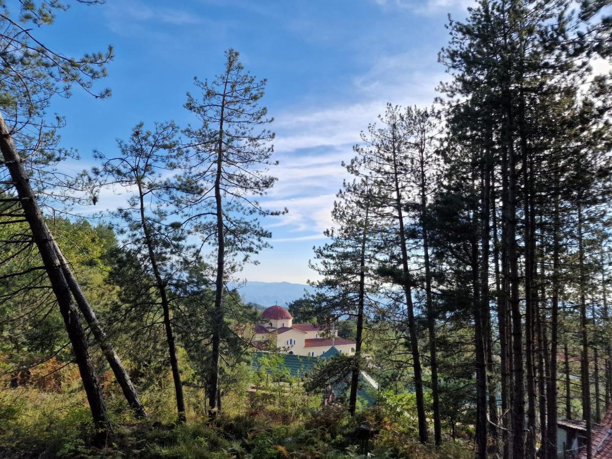 Villa Bujtinat Skenderi Gjinar 2 Extérieur photo