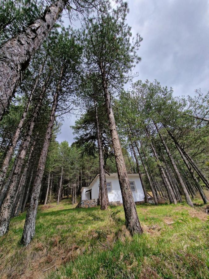 Villa Bujtinat Skenderi Gjinar 2 Extérieur photo