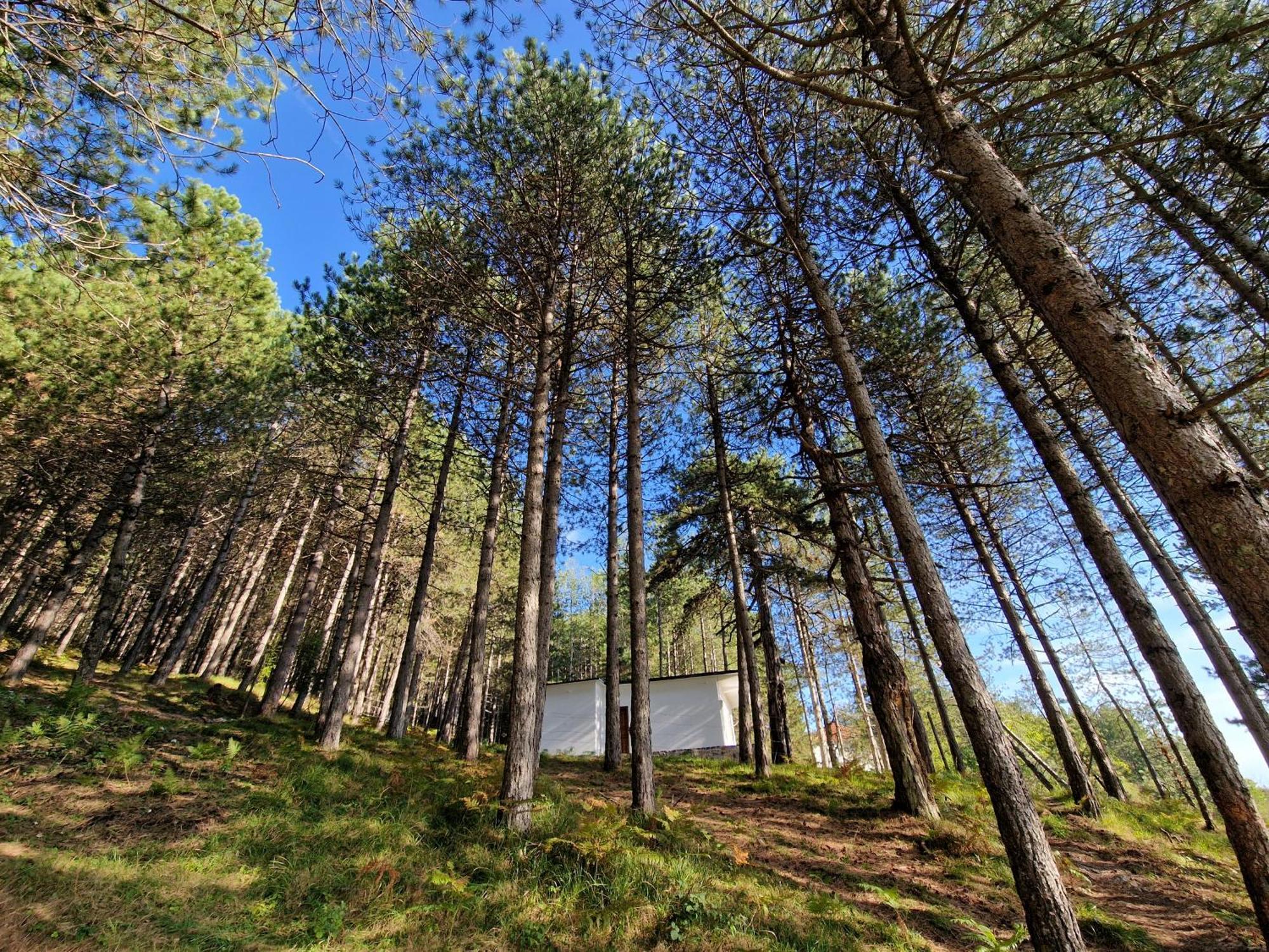 Villa Bujtinat Skenderi Gjinar 2 Chambre photo